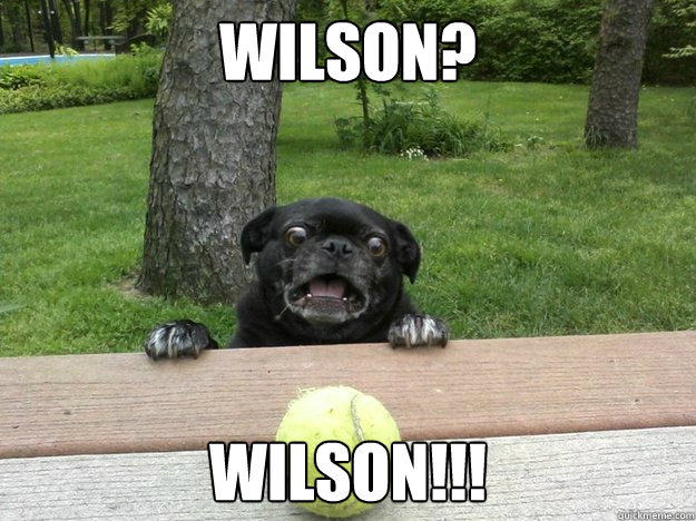wilson? WILSON!!!  Berks Dog