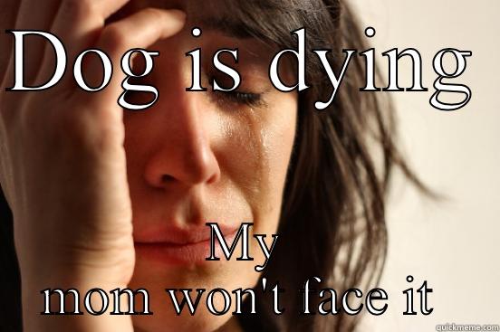 DOG IS DYING  MY MOM WON'T FACE IT  First World Problems