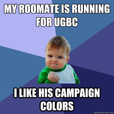 My Roomate is Running for UGBC i like his campaign colors  Success Kid