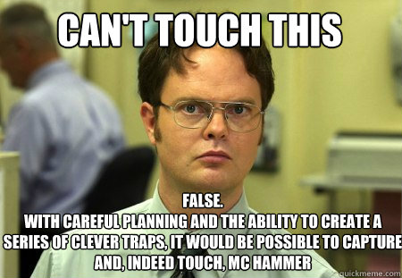can't touch this False.
With careful planning and the ability to create a series of clever traps, it would be possible to capture and, indeed touch, MC Hammer  Schrute