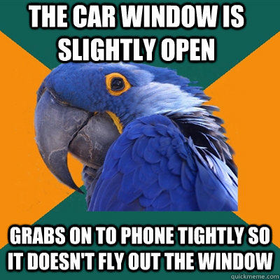 The car window is slightly open Grabs on to phone tightly so it doesn't fly out the window - The car window is slightly open Grabs on to phone tightly so it doesn't fly out the window  Paranoid Parrot