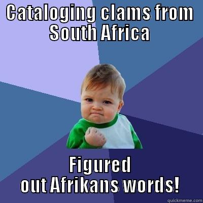 CATALOGING CLAMS FROM SOUTH AFRICA FIGURED OUT AFRIKANS WORDS! Success Kid