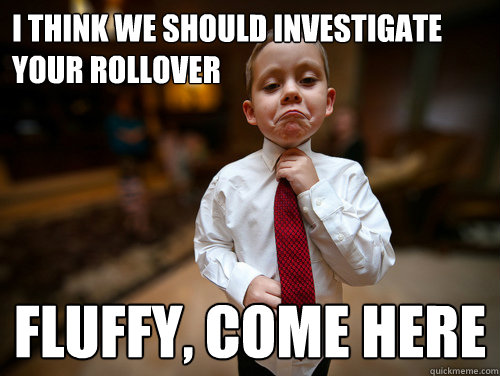 I think we should investigate your rollover fluffy, come here  Financial Advisor Kid