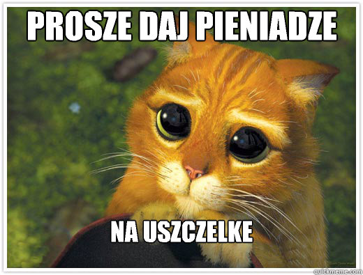 Prosze daj pieniadze Na uszczelke  Shrek Cat