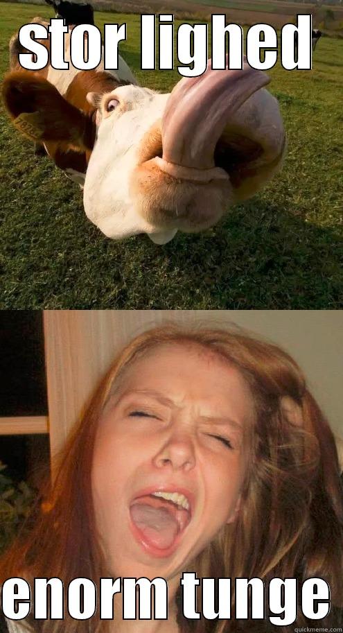 STOR LIGHED  ENORM TUNGE Misc