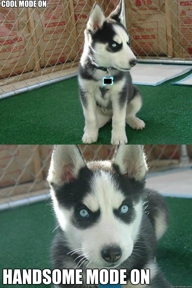 cool mode on handsome mode on  Insanity puppy