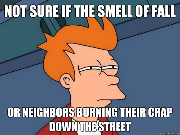 Not sure if the smell of fall Or neighbors burning their crap down the street - Not sure if the smell of fall Or neighbors burning their crap down the street  Futurama Fry