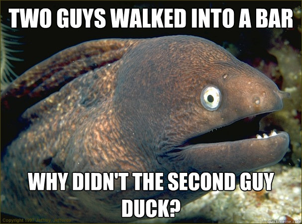 two guys walked into a bar why didn't the second guy duck?  Bad Joke Eel