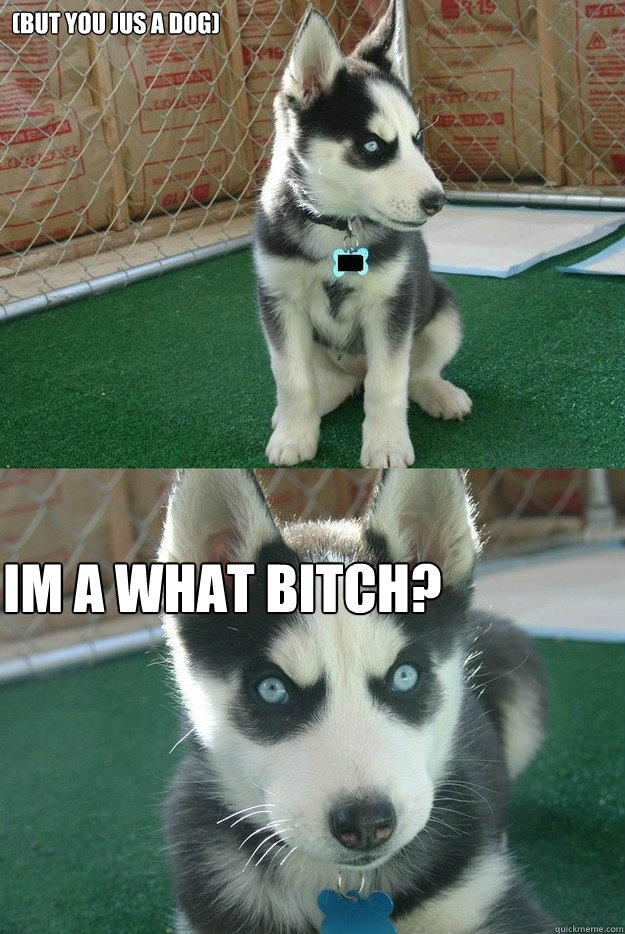 (But you jus a dog) IM A WHAT BITCH?  Insanity puppy