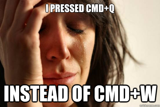 I pressed CMD+Q Instead of CMD+W  First World Problems