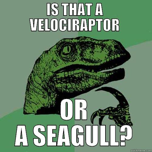 IS THAT A VELOCIRAPTOR OR A SEAGULL? Philosoraptor