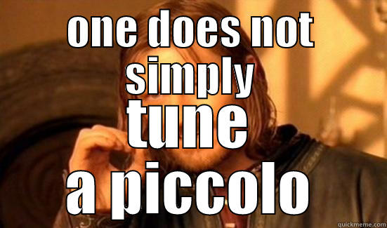 ONE DOES NOT SIMPLY TUNE A PICCOLO Boromir