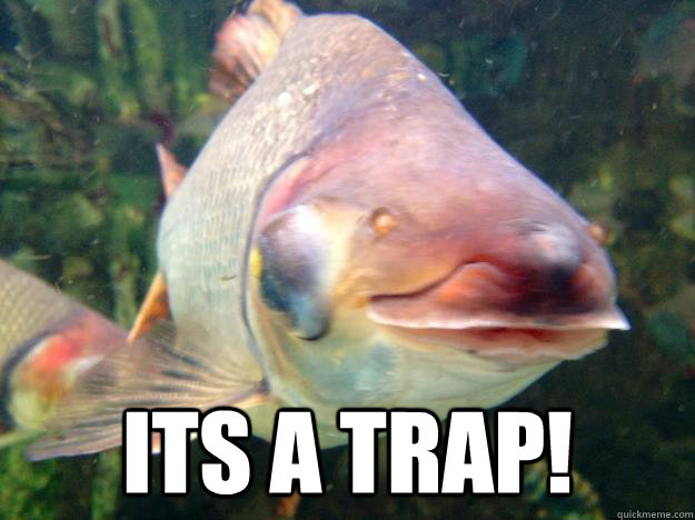  ITS A TRAP!  Its a trap
