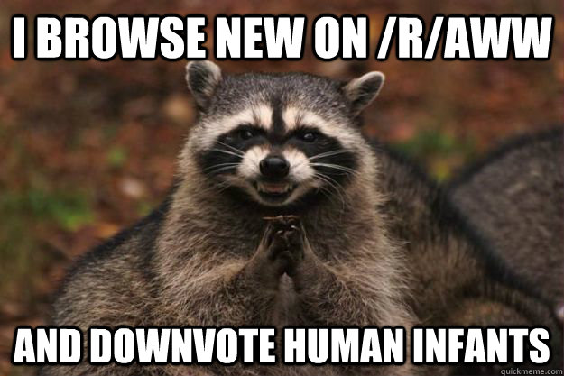 I browse new on /r/aww and downvote human infants  Evil Plotting Raccoon