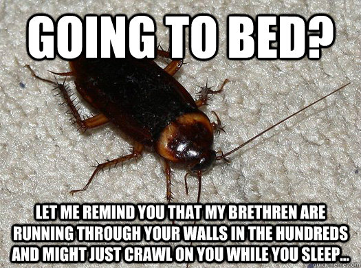 Going to bed? Let me remind you that my brethren are running through your walls in the hundreds and might just crawl on you while you sleep...  Scumbag Cockroach