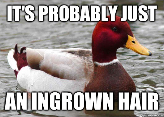 It's probably just  An ingrown hair  Malicious Advice Mallard