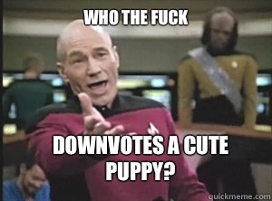 who the fuck Downvotes a cute puppy?  Annoyed Picard