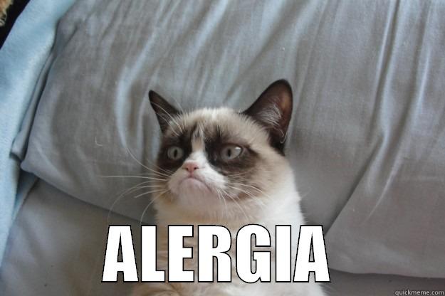 Creative Title -  ALERGIA Grumpy Cat