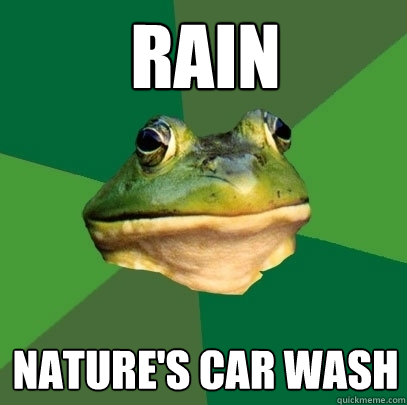 Rain Nature's car wash  Foul Bachelor Frog