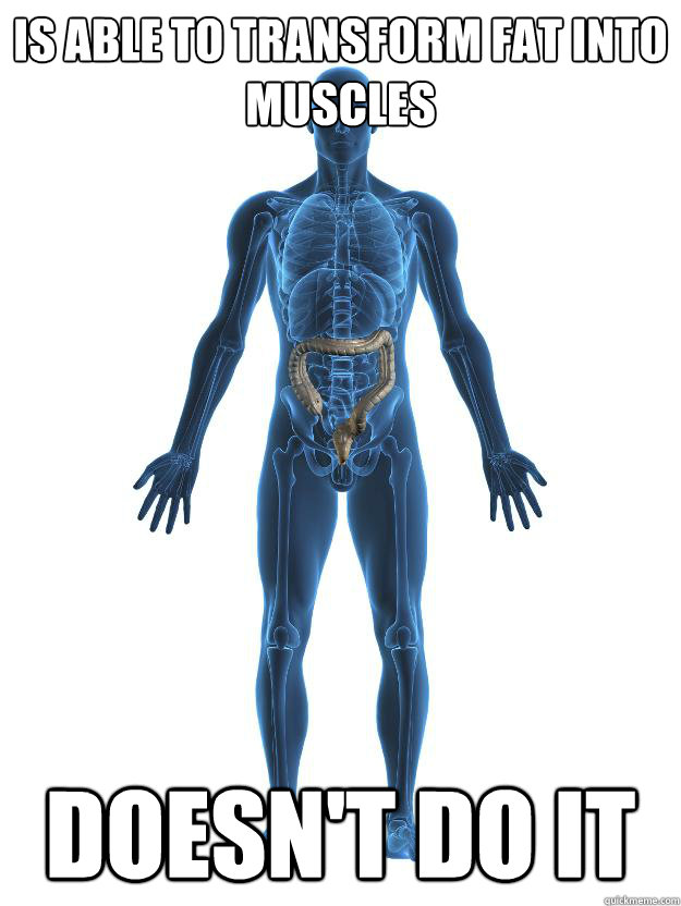 is able to transform fat into muscles Doesn't do it - is able to transform fat into muscles Doesn't do it  Scumbag human body