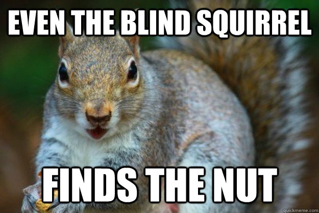 Even the Blind Squirrel Finds the nut  