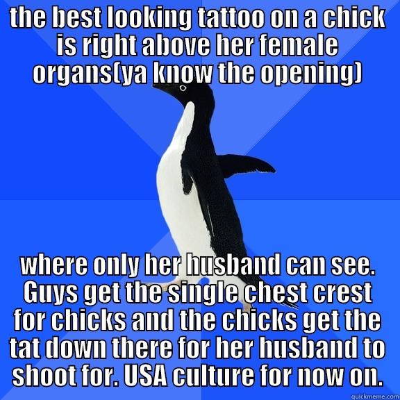THE BEST LOOKING TATTOO ON A CHICK IS RIGHT ABOVE HER FEMALE ORGANS(YA KNOW THE OPENING) WHERE ONLY HER HUSBAND CAN SEE. GUYS GET THE SINGLE CHEST CREST FOR CHICKS AND THE CHICKS GET THE TAT DOWN THERE FOR HER HUSBAND TO SHOOT FOR. USA CULTURE FOR NOW ON. Socially Awkward Penguin