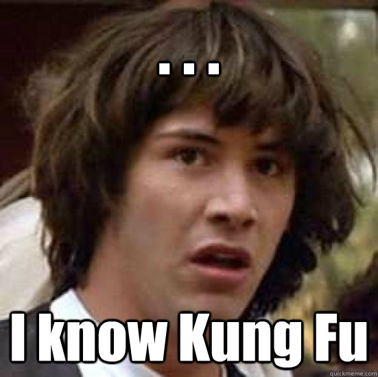 . . .  I know Kung Fu  conspiracy keanu