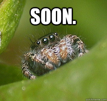 SOON.  - SOON.   Misunderstood Spider