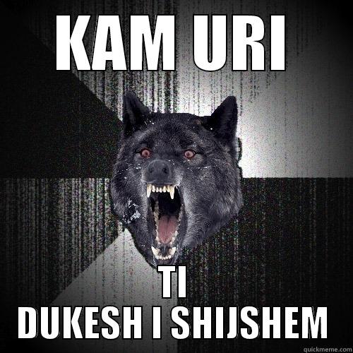 KAM URI TI DUKESH I SHIJSHEM Insanity Wolf