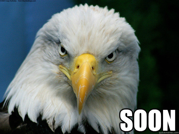  soon -  soon  scary eagle