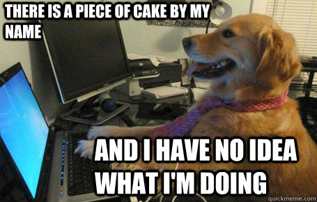 there is a piece of cake by my name and i have no idea what I'm doing - there is a piece of cake by my name and i have no idea what I'm doing  no idea laptop dog