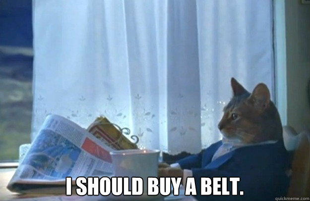  I should buy a belt.  Sophisticated Cat