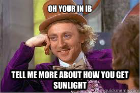 Oh your in IB tell me more about how you get sunlight - Oh your in IB tell me more about how you get sunlight  Willy Wonka Basketball Meme