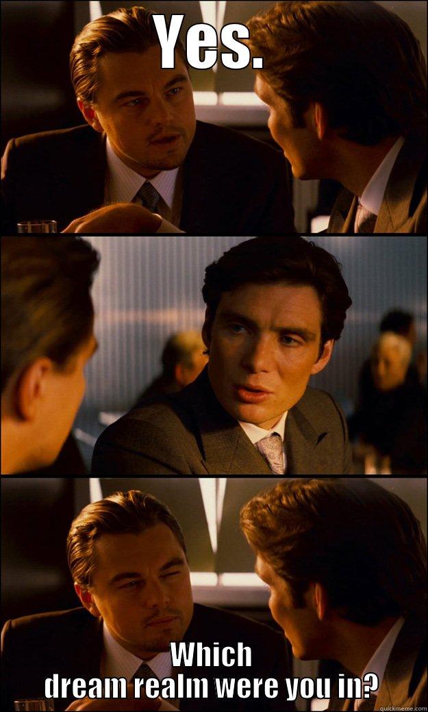 YES. WHICH DREAM REALM WERE YOU IN? Inception