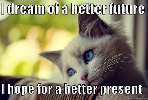 I DREAM OF A BETTER FUTURE   I HOPE FOR A BETTER PRESENT  First World Problems Cat