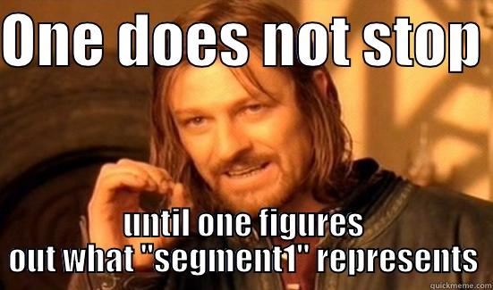 ONE DOES NOT STOP  UNTIL ONE FIGURES OUT WHAT 