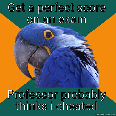 GET A PERFECT SCORE ON AN EXAM PROFESSOR PROBABLY THINKS I CHEATED Paranoid Parrot