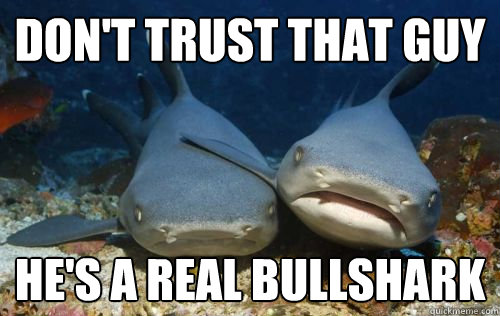 Don't trust that guy He's a real Bullshark  Compassionate Shark Friend