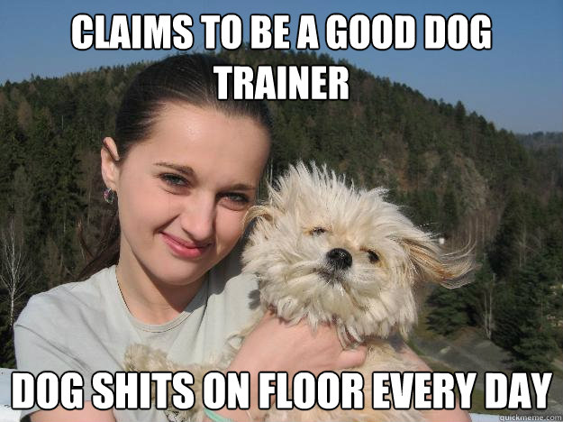 Claims to be a good dog trainer dog shits on floor every day - Claims to be a good dog trainer dog shits on floor every day  Bad Dog Owner