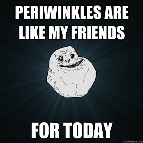PERIWINKLES ARE LIKE MY FRIENDS FOR TODAY - PERIWINKLES ARE LIKE MY FRIENDS FOR TODAY  Forever Alone