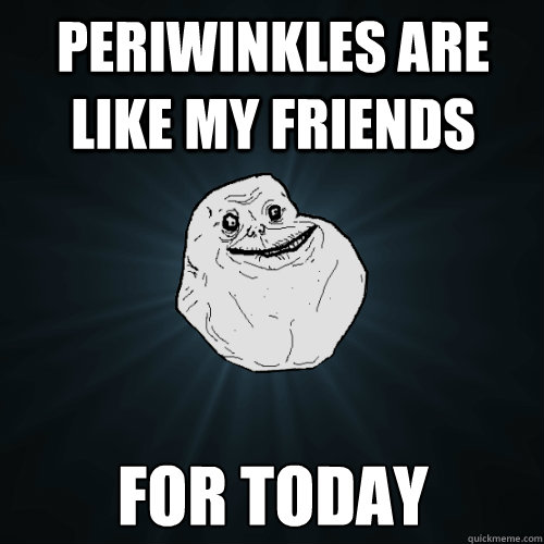 PERIWINKLES ARE LIKE MY FRIENDS FOR TODAY  Forever Alone