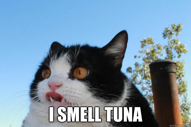  I smell tuna  