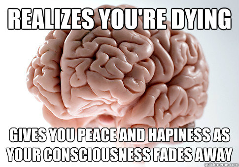 Realizes you're dying Gives you peace and hapiness as your consciousness fades away - Realizes you're dying Gives you peace and hapiness as your consciousness fades away  Scumbag Brain