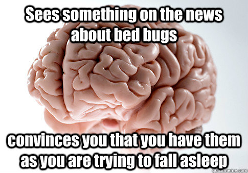 Sees something on the news about bed bugs convinces you that you have them as you are trying to fall asleep  Scumbag Brain