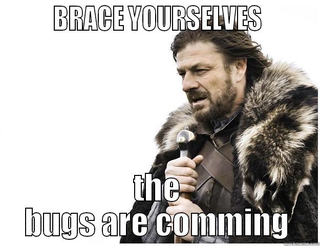 when you finish writing a code...you already know -         BRACE YOURSELVES         THE BUGS ARE COMMING Imminent Ned