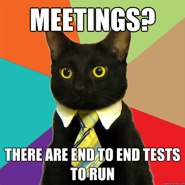 MEETINGS? There are end to end tests to run  Business Cat