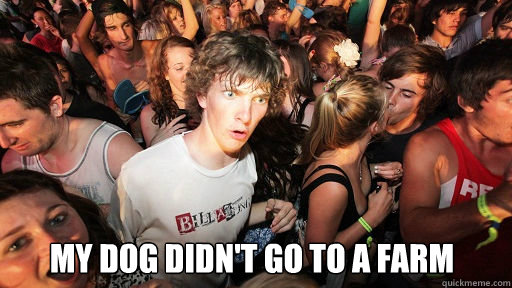  my dog didn't go to a farm  Sudden Clarity Clarence