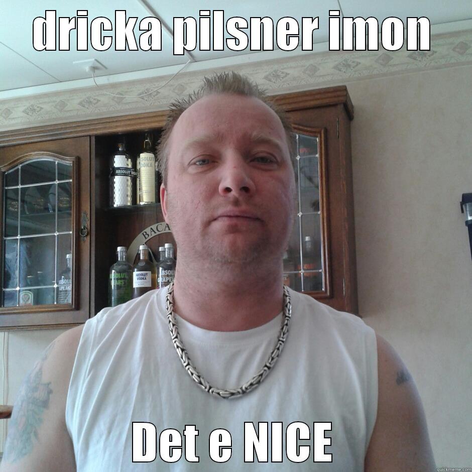 DRICKA PILSNER IMON DET E NICE Misc