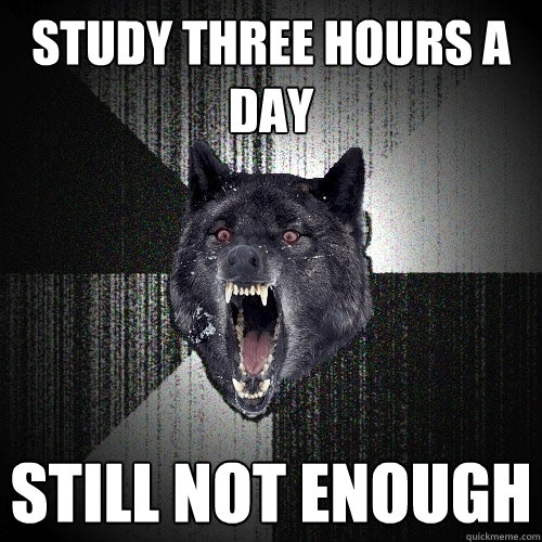 study three hours a day still not enough  Insanity Wolf