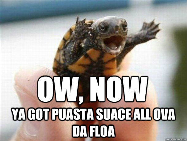 Ow, now ya got puasta suace all ova da floa - Ow, now ya got puasta suace all ova da floa  Outrage Turtle